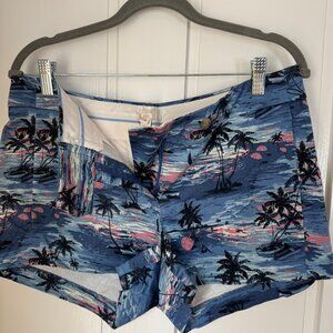 Women's Size 8 J.Crew Shorts